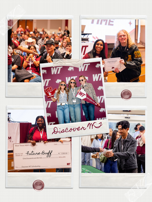 DIscover WT collage - web